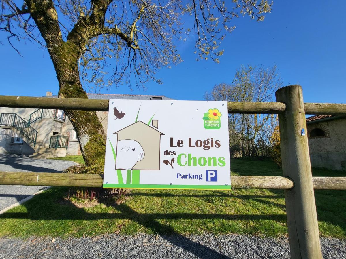 Le Logis Des Chons A La Campagne A Saint Hilaire Du Bois - Lys Haut Layon Le Plessis  Eksteriør billede